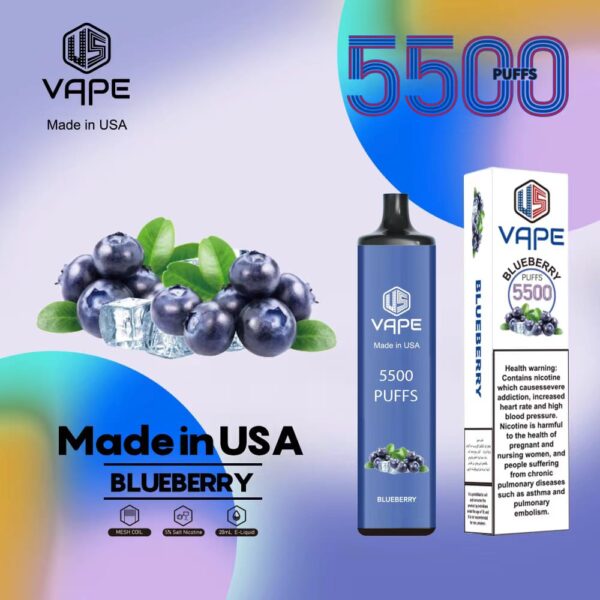 US Vape 5500 Puffs Disposable